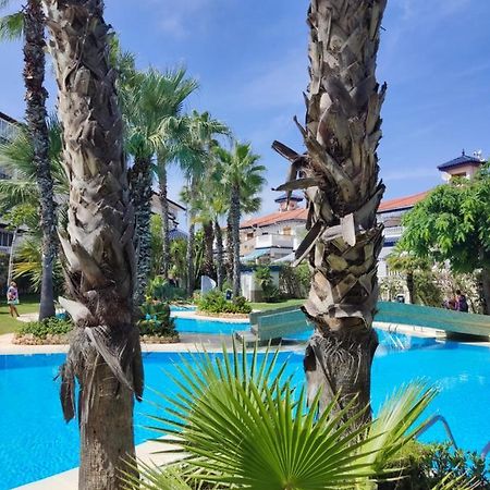 Sunny Apartment Costa Blanca La Mata  Esterno foto